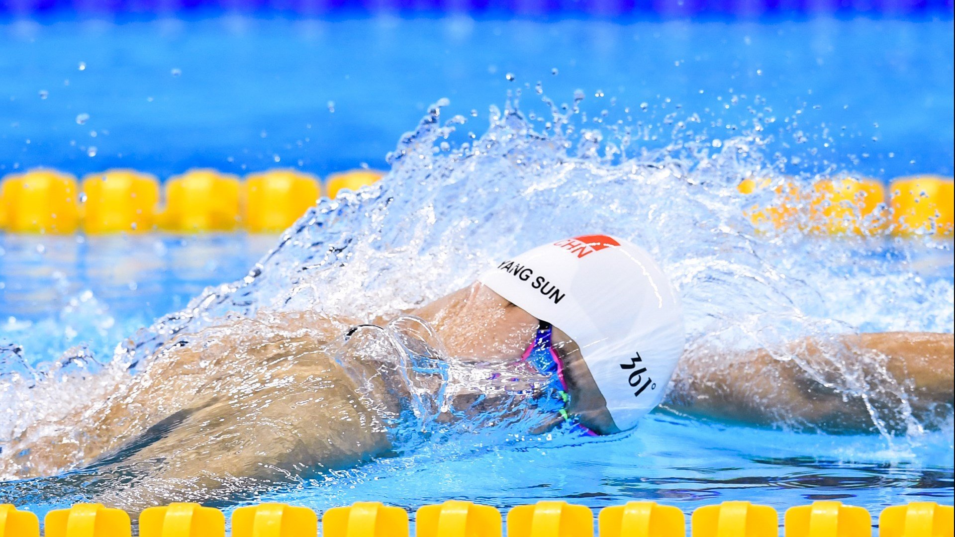 体育文化节活动预告,体育文化节活动流程