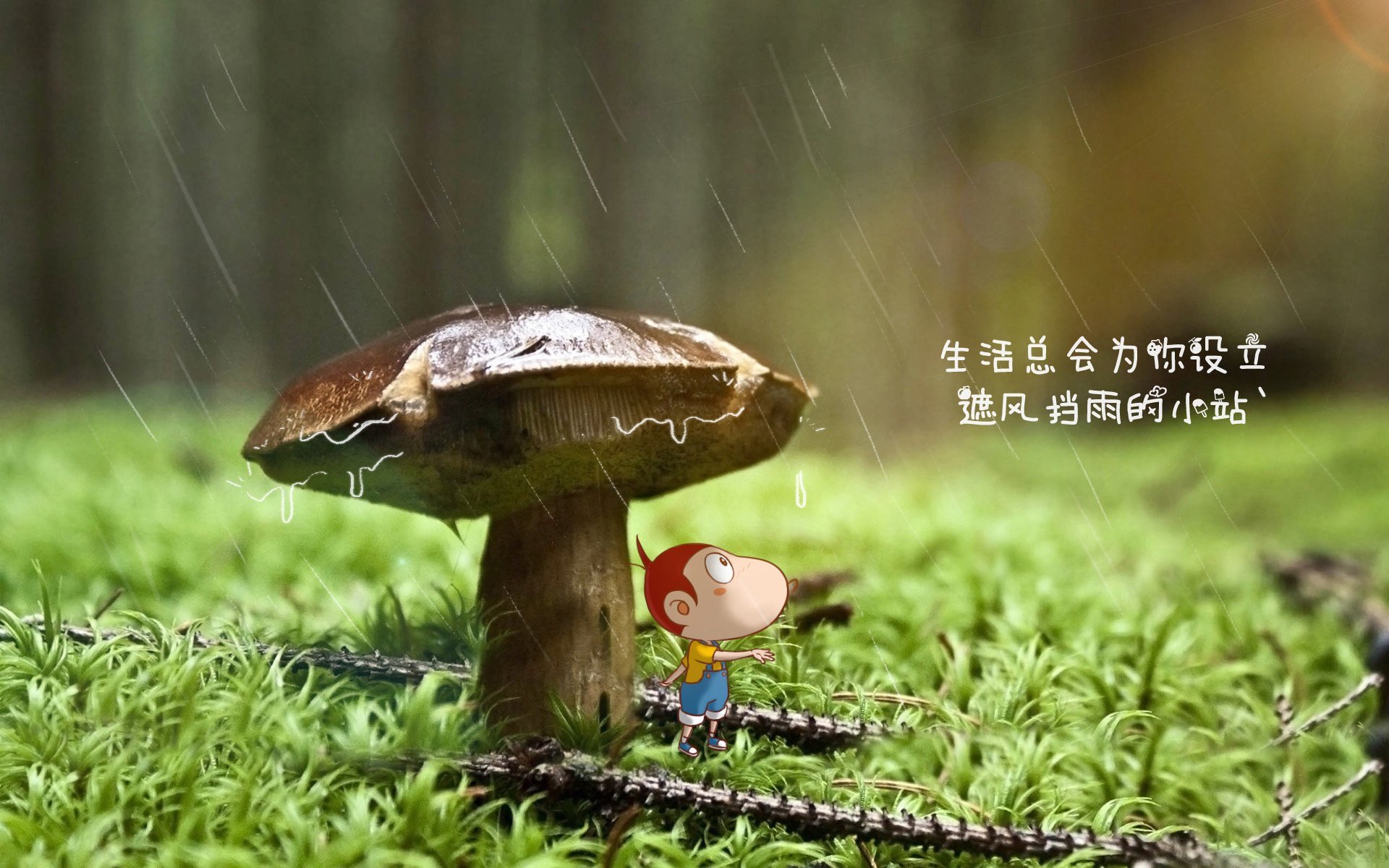 开云体育在线入口-“泥浆飞扬：雨后泥地的疯狂追逐”，泥浆视频