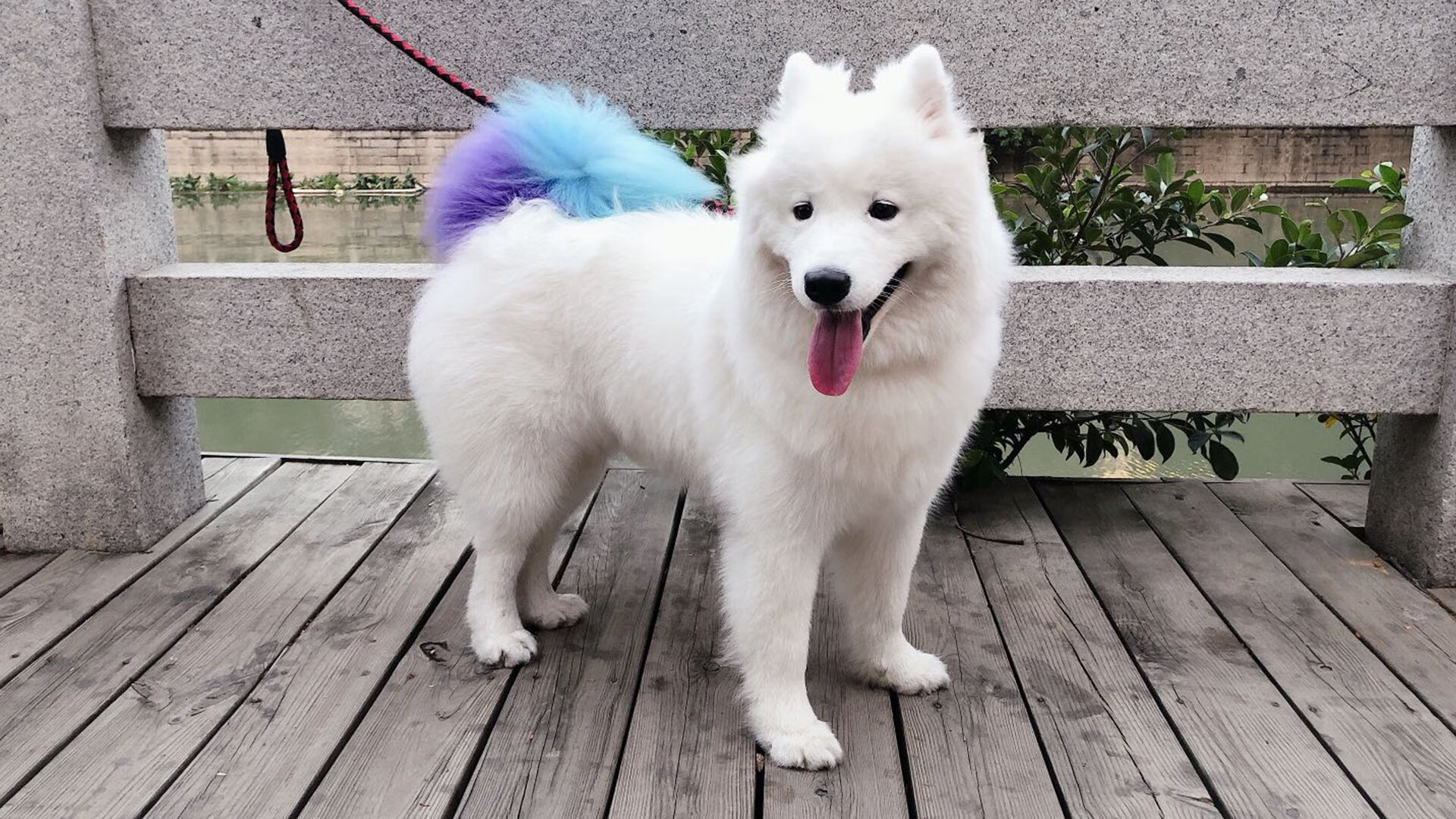 开云在线直播-《电竞公益赛事：用游戏传递温暖》，电竞公告