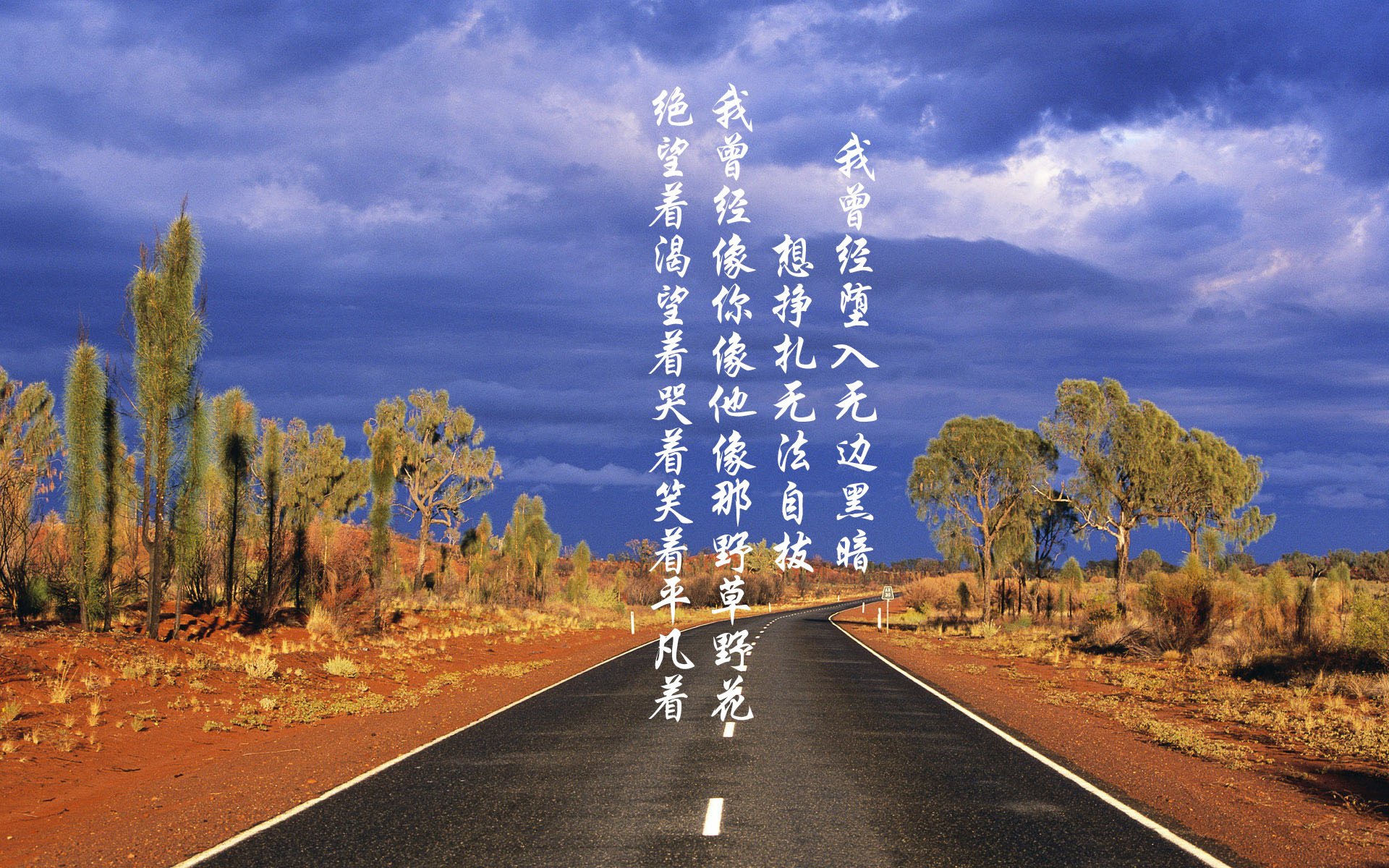 国际游泳赛事中国选手刷新多项纪录，游泳国际大赛