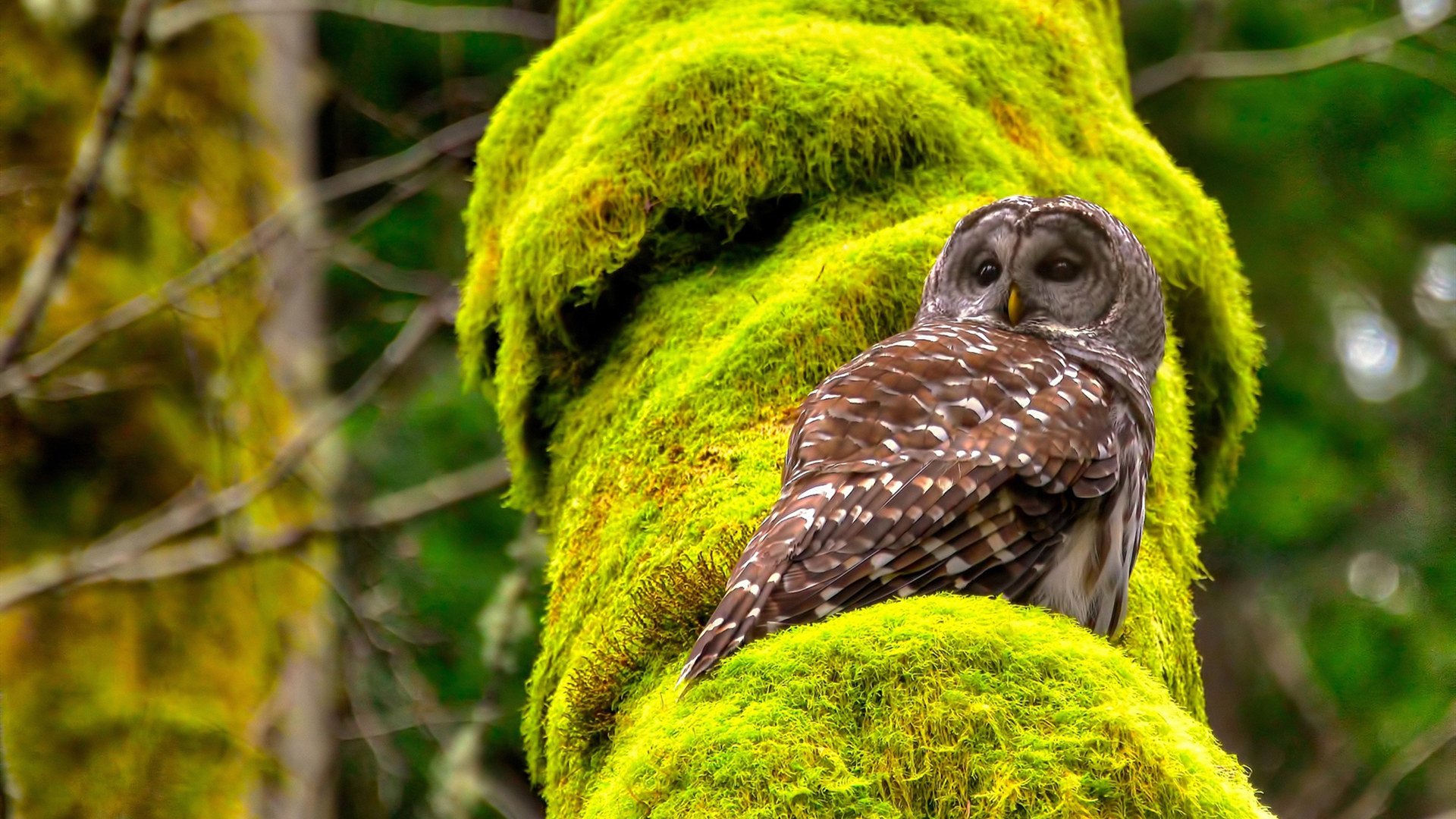 太空狼人杀“智慧对决”全球总决赛火热开战
