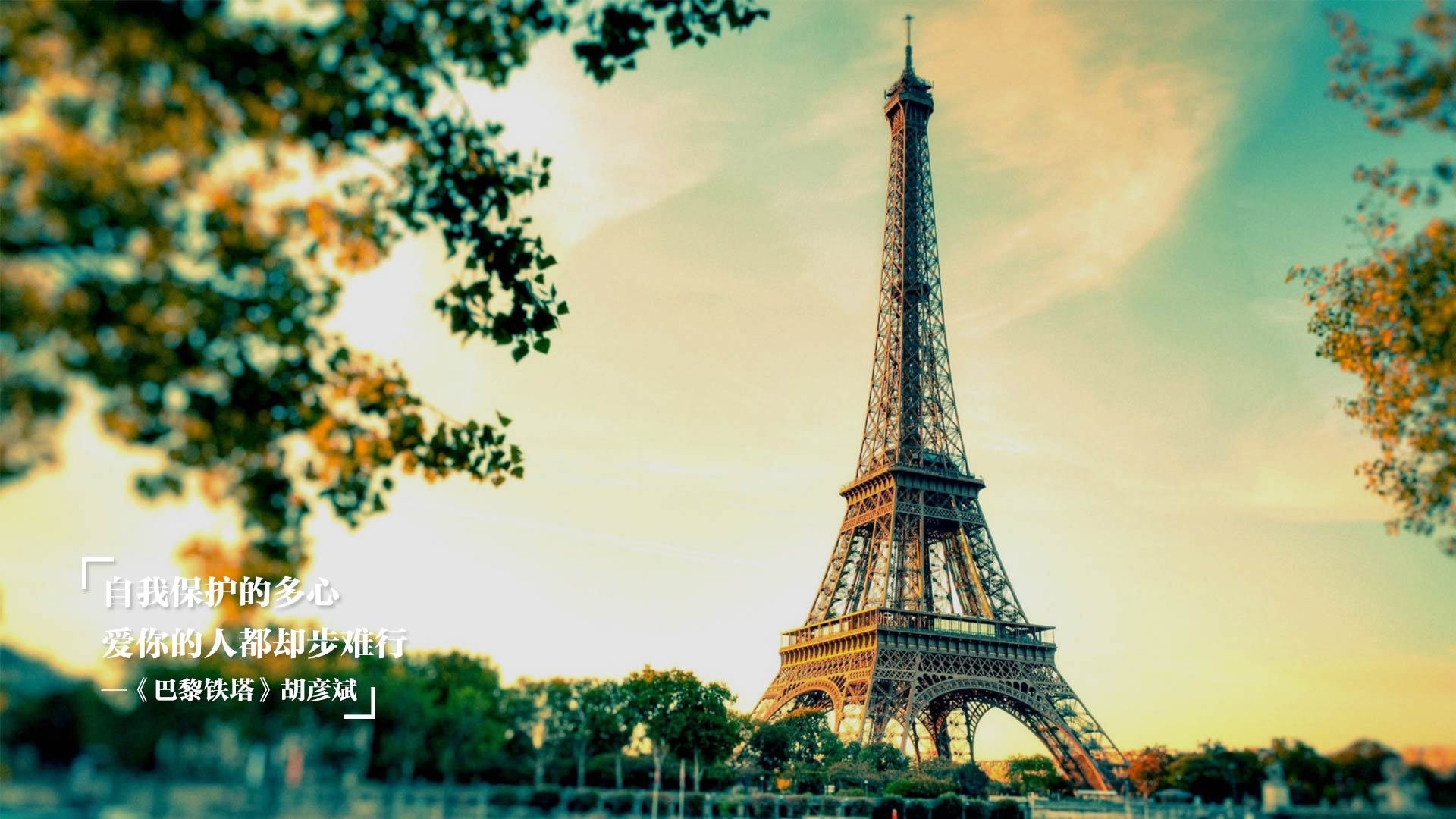 大型滑板街头表演赛，街头文化与极限运动的碰撞，滑板 街头文化