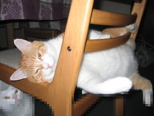 大型滑板街头表演赛，街头文化与极限运动的碰撞，滑板 街头文化